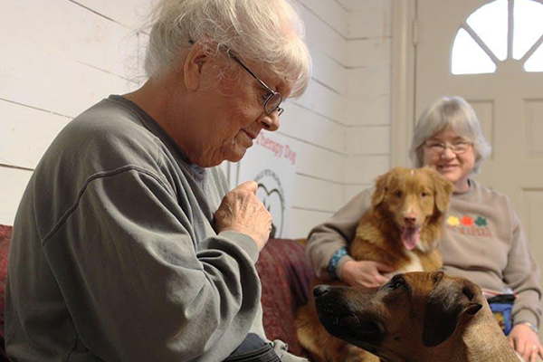 Two Older Ladies Having Fun With Their Dogs